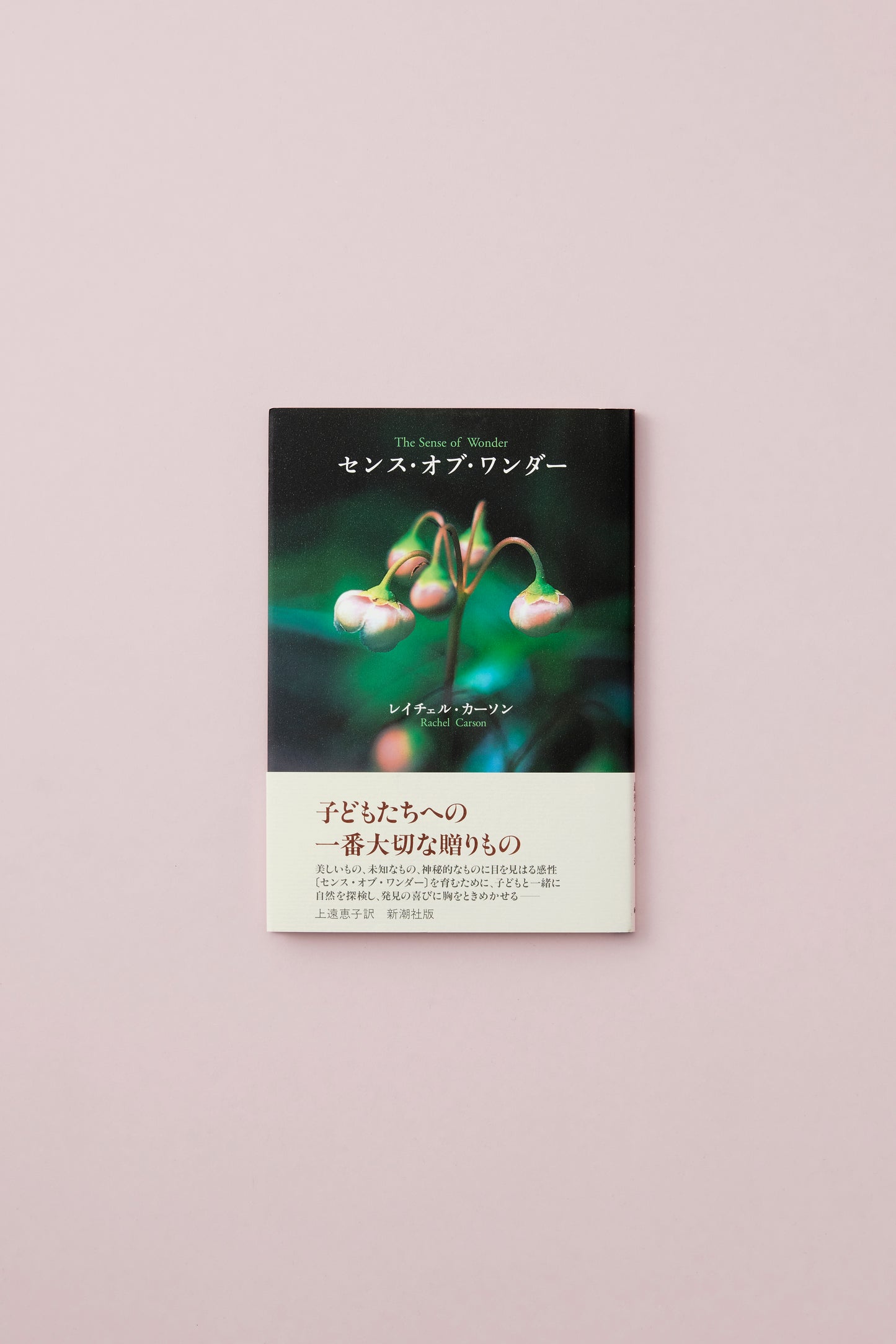 センス・オブ・ワンダー