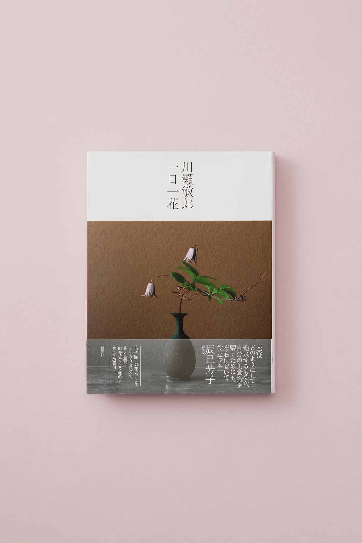 川瀬敏郎 一日一花 – BOOK OF SATURDAY
